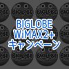 BIGLOBE WiMAX 2+ 評価・レビュー